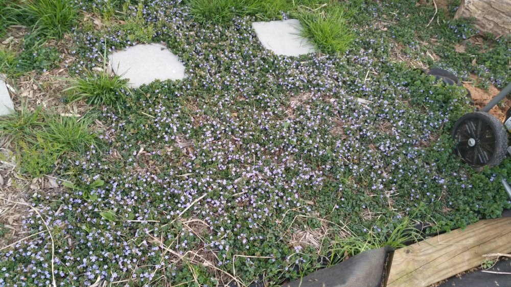 2016-04-04 17.04.15.jpg