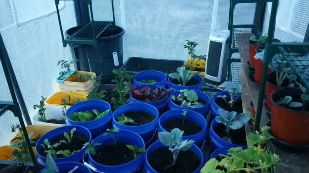 2016-04-18 20.30.21.jpg