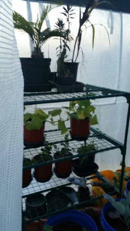 2016-04-18 20.30.32.jpg
