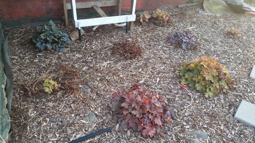 20160403_192150.jpg