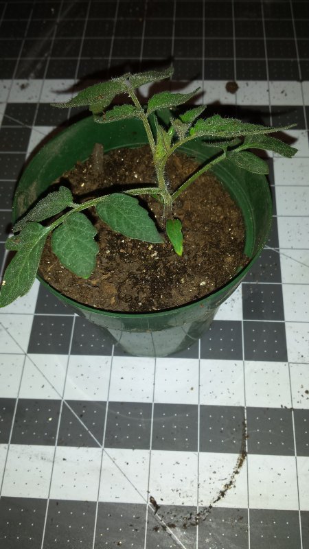 20160418_101545.jpg