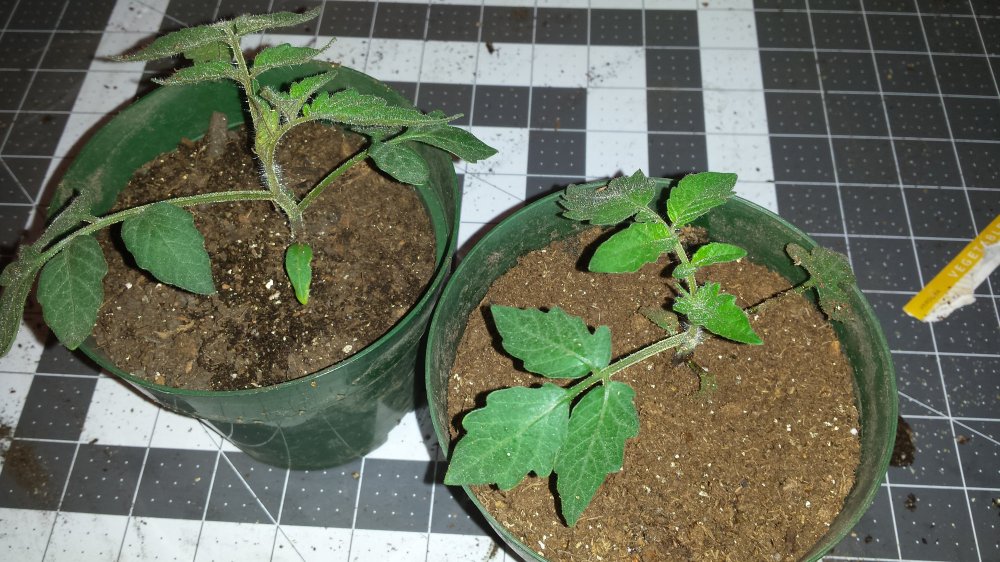 20160418_101848.jpg
