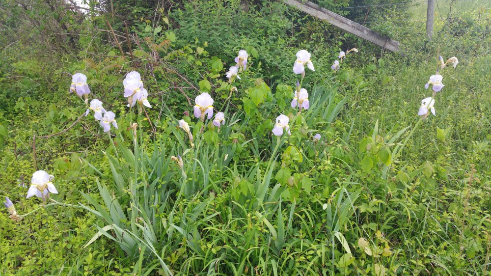 20160519_120935.jpg