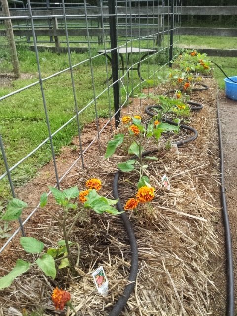 20160519_170112.jpg