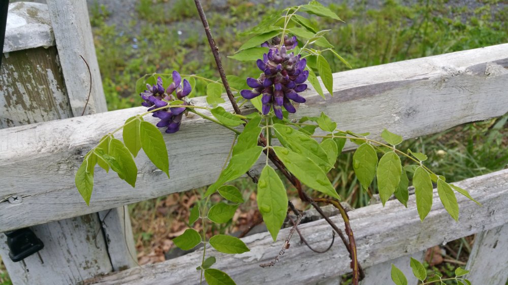 20160521_183846.jpg