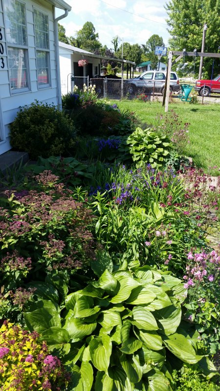 20160523_155344.jpg
