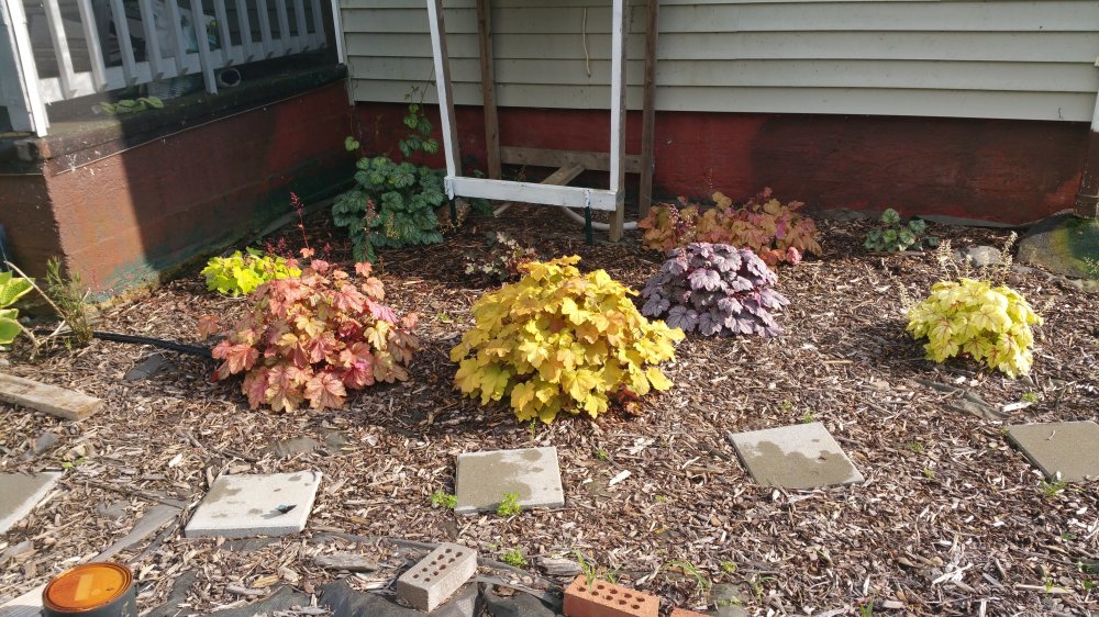20160523_175246.jpg