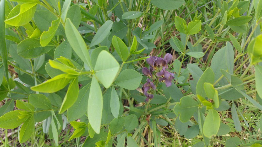 20160523_180559.jpg