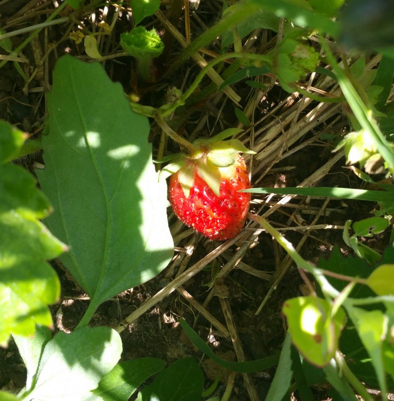 20160527_110946-1.jpg