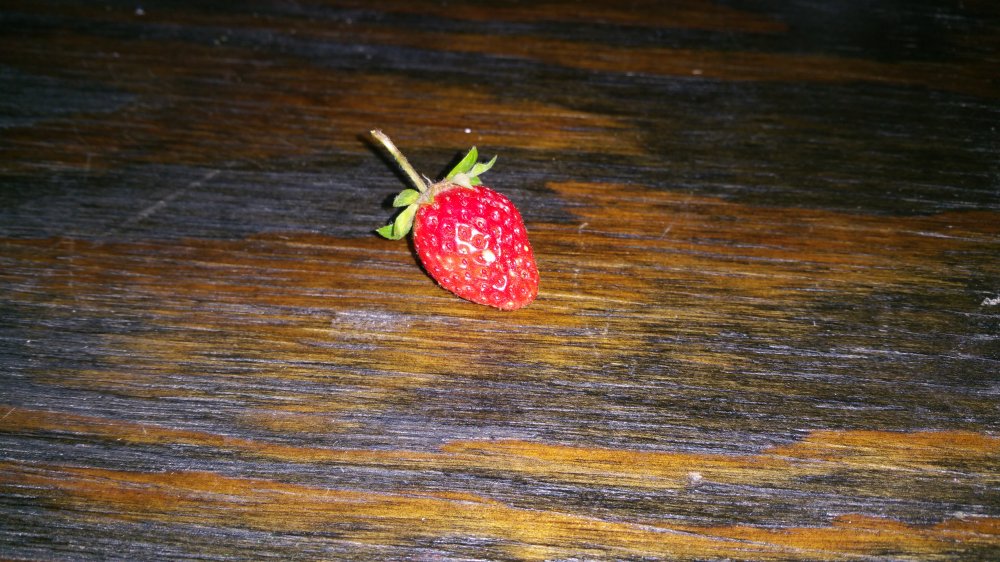 20160527_220247.jpg