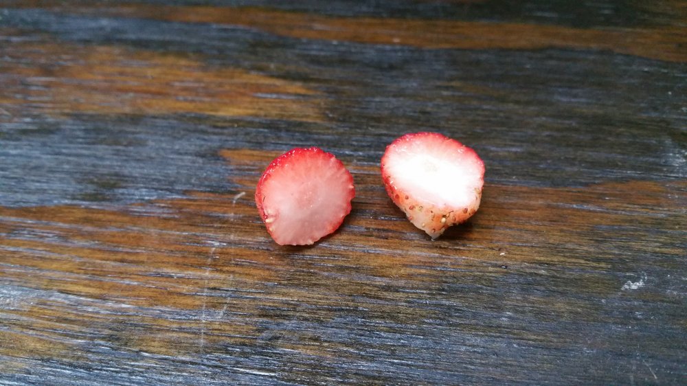 20160527_220450.jpg