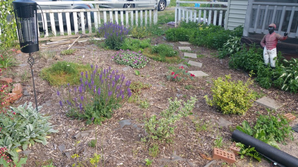 20160528_180955.jpg