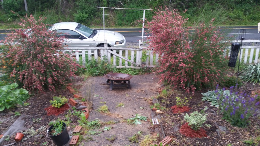 20160529_194404.jpg