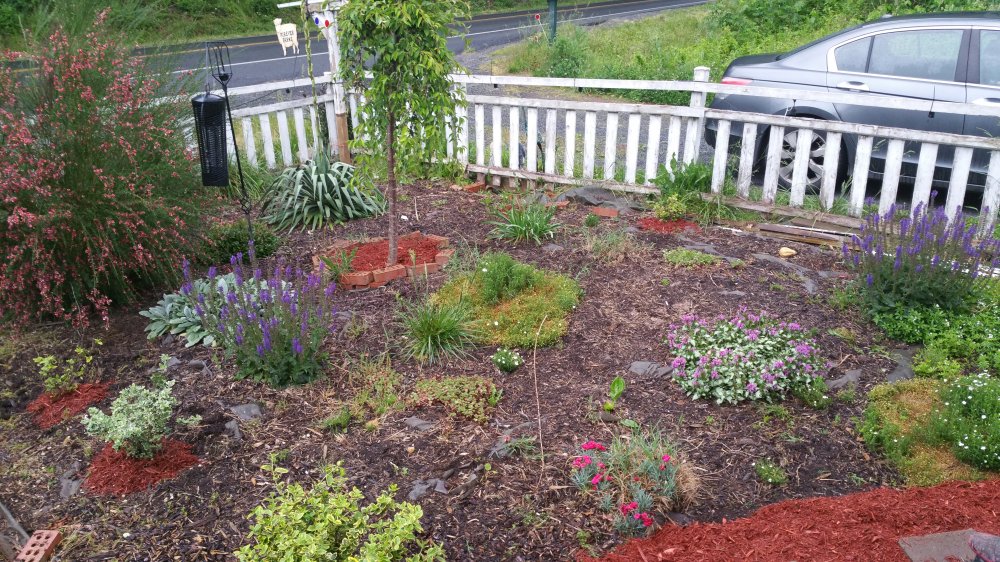 20160529_194407.jpg