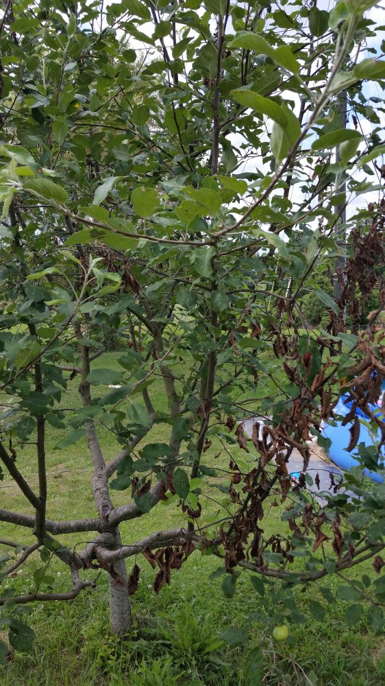 20160629_122319.jpg