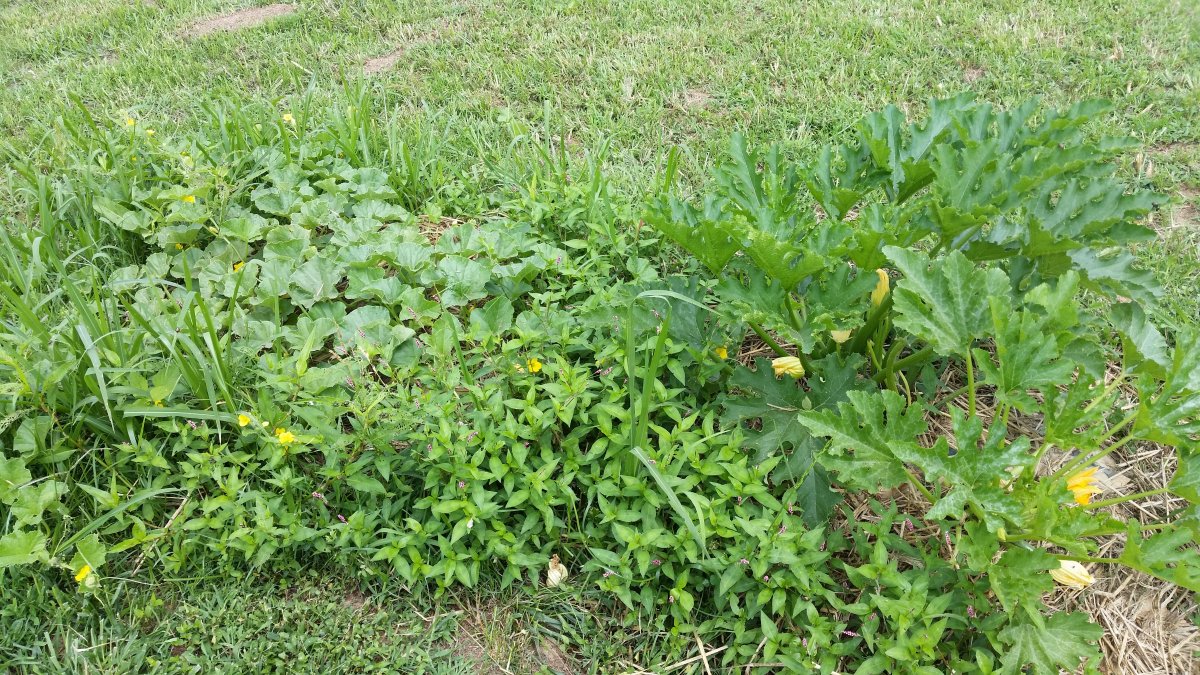 20160629_122512.jpg