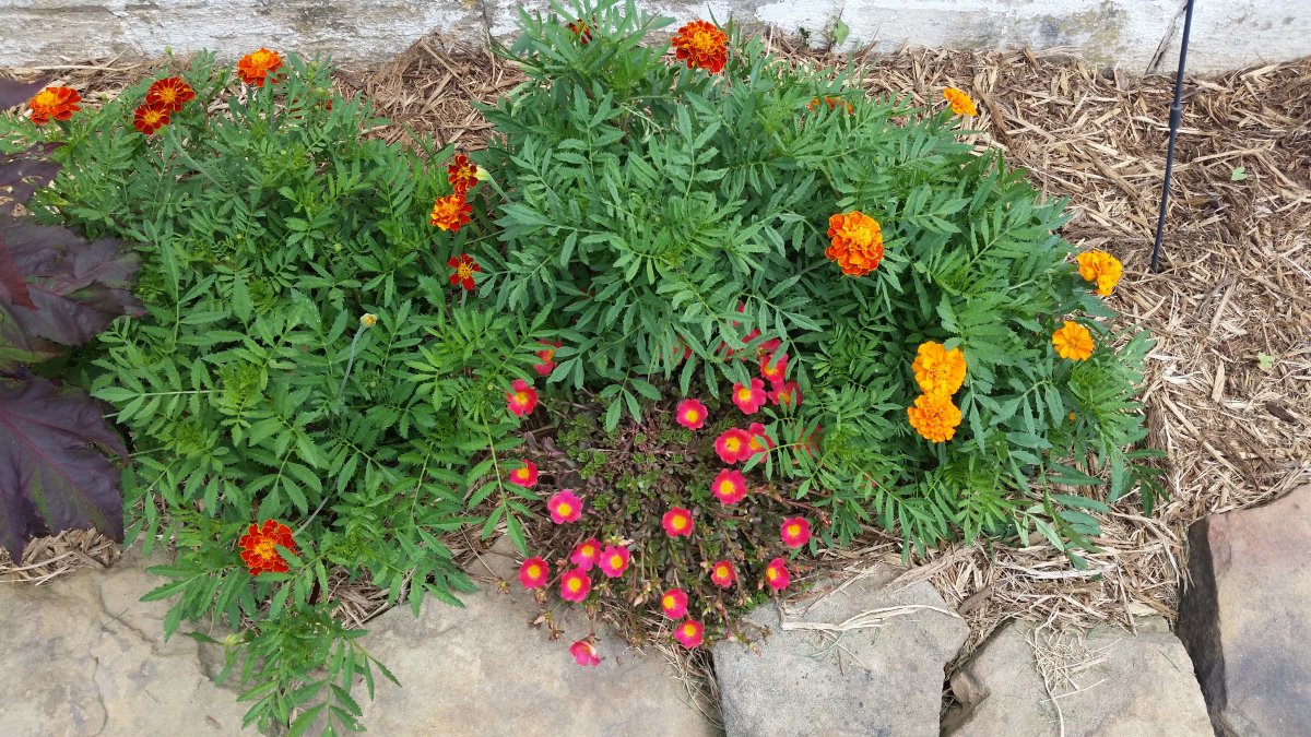 20160629_122611.jpg