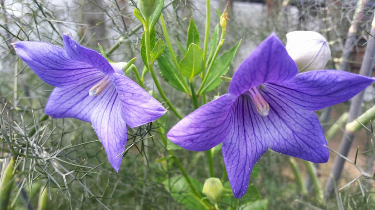 20160629_123135.jpg