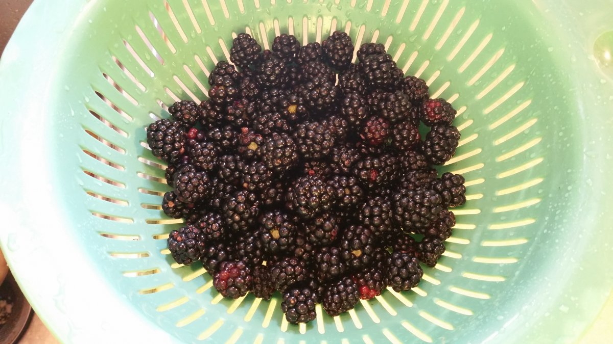20160713_193357.jpg