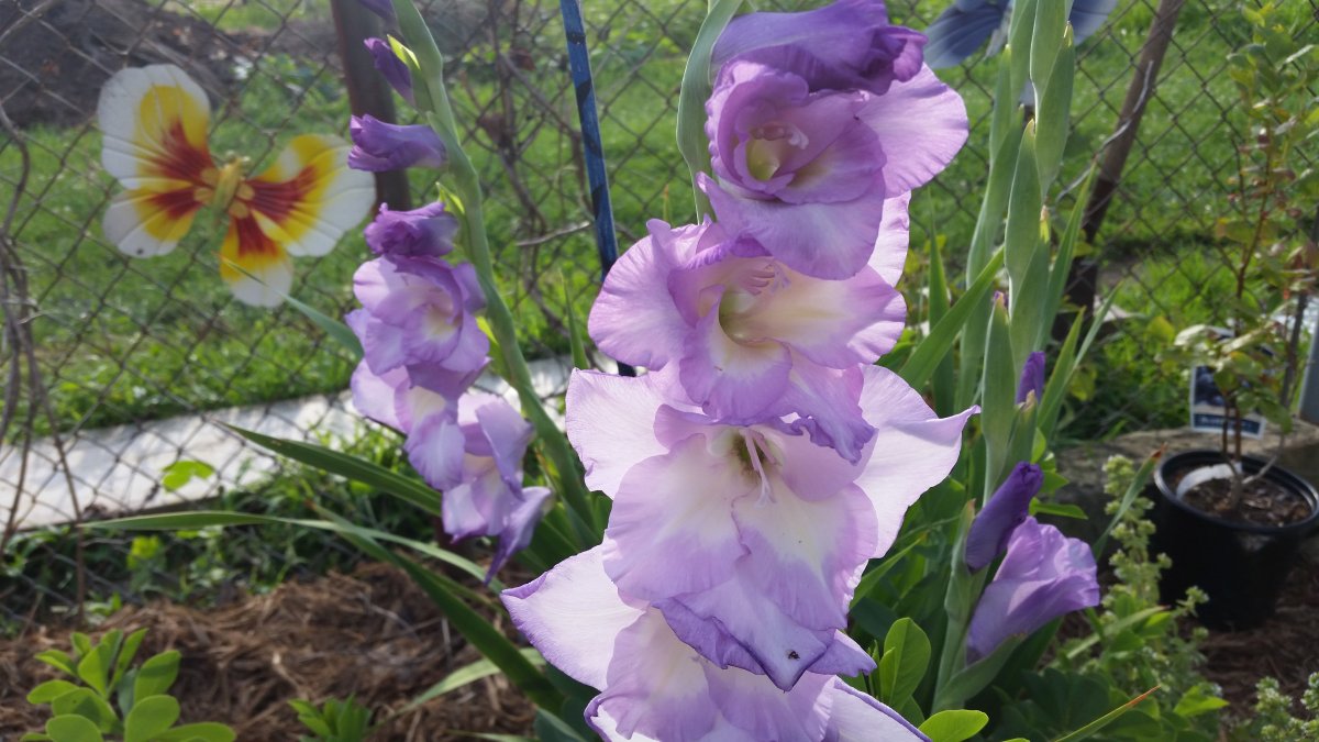 20160714_185316.jpg