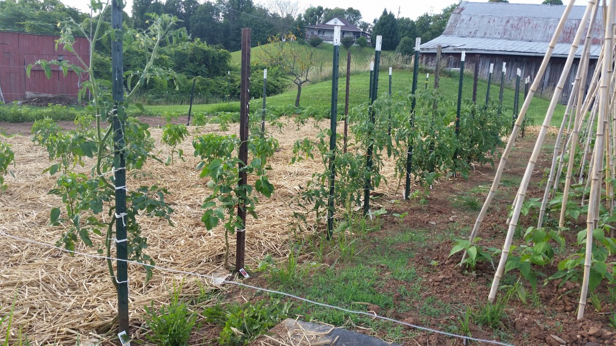 20160714_190239.jpg