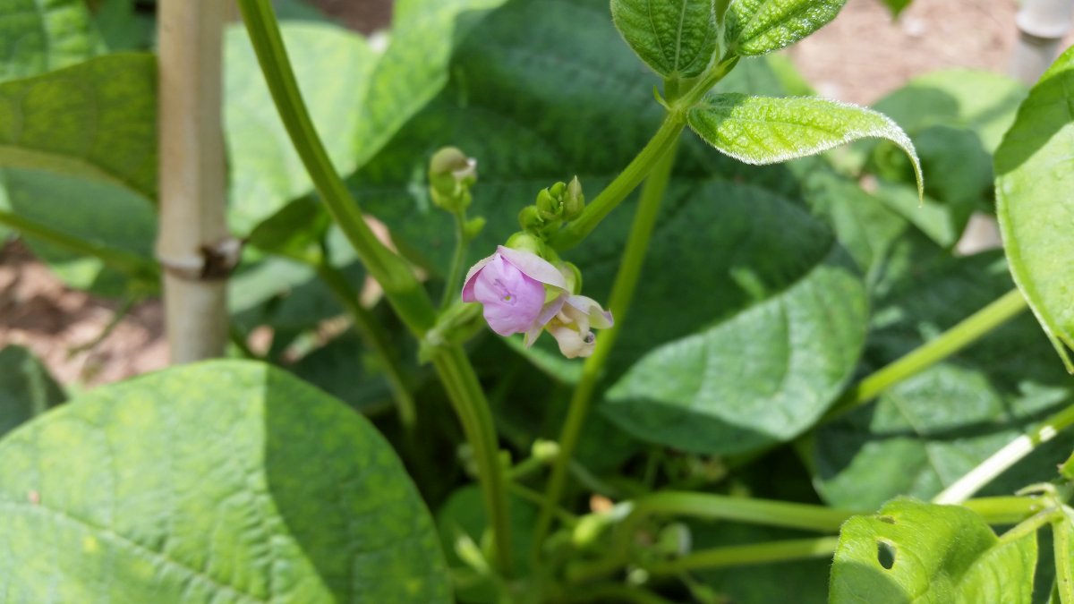 20160805_123808.jpg