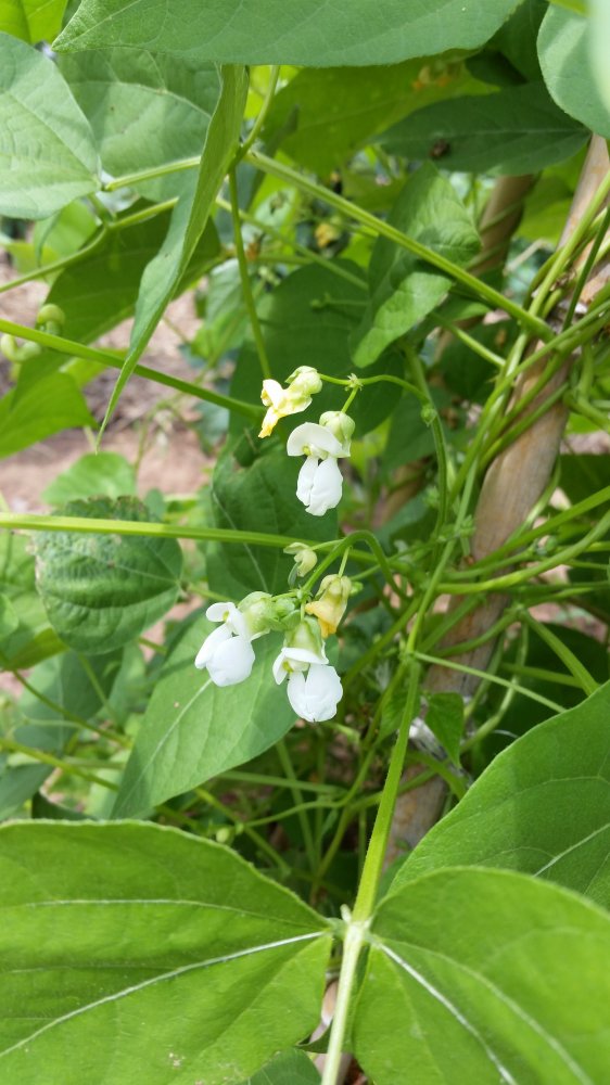 20160805_123937.jpg