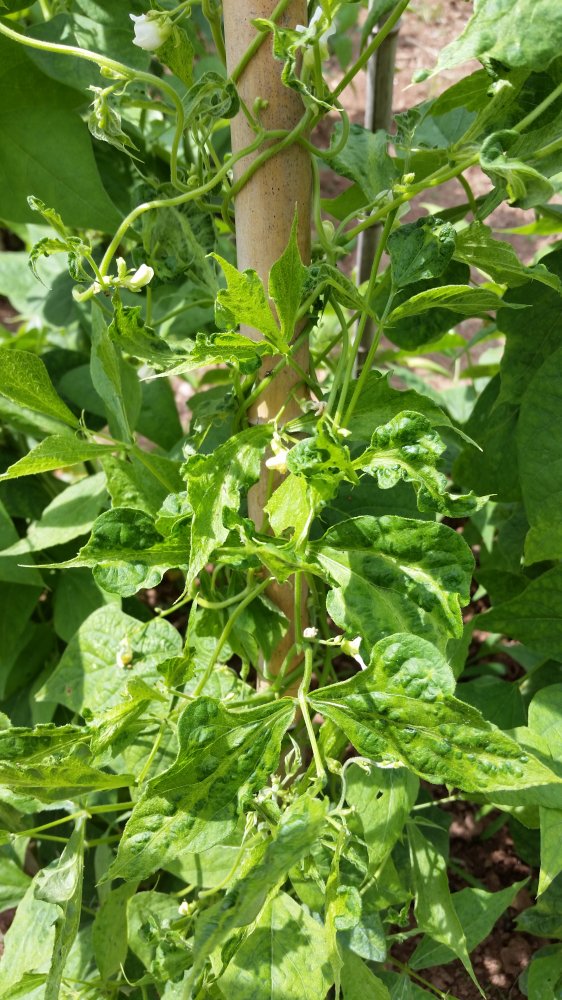 20160805_124036.jpg
