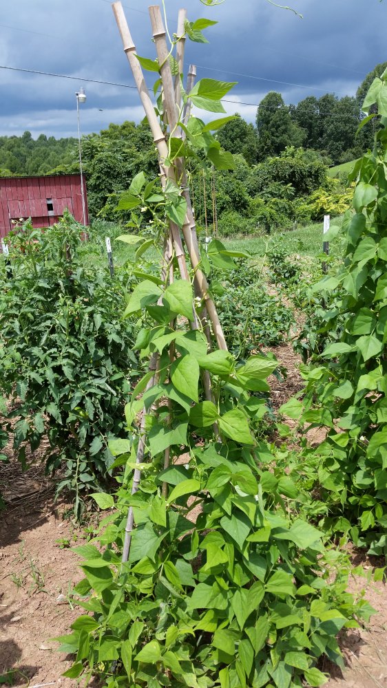 20160805_124059.jpg