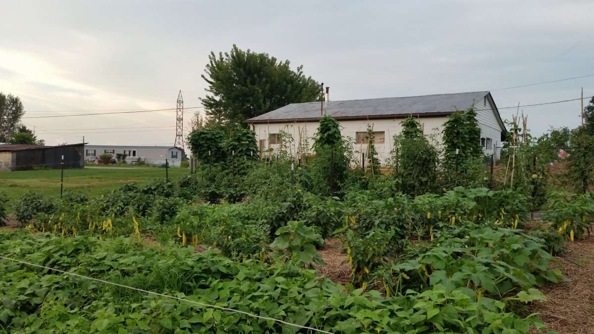 20160818_195224.jpg
