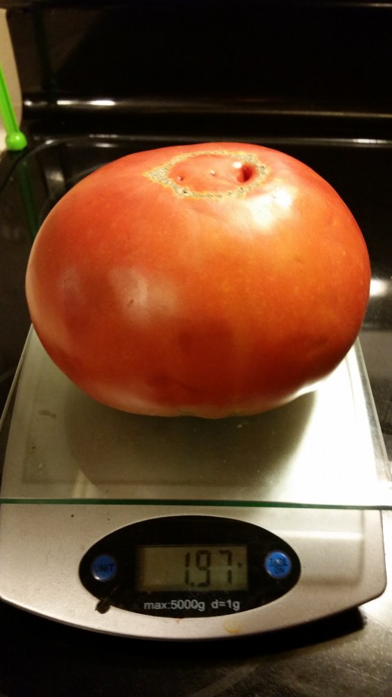 20160825_215703.jpg