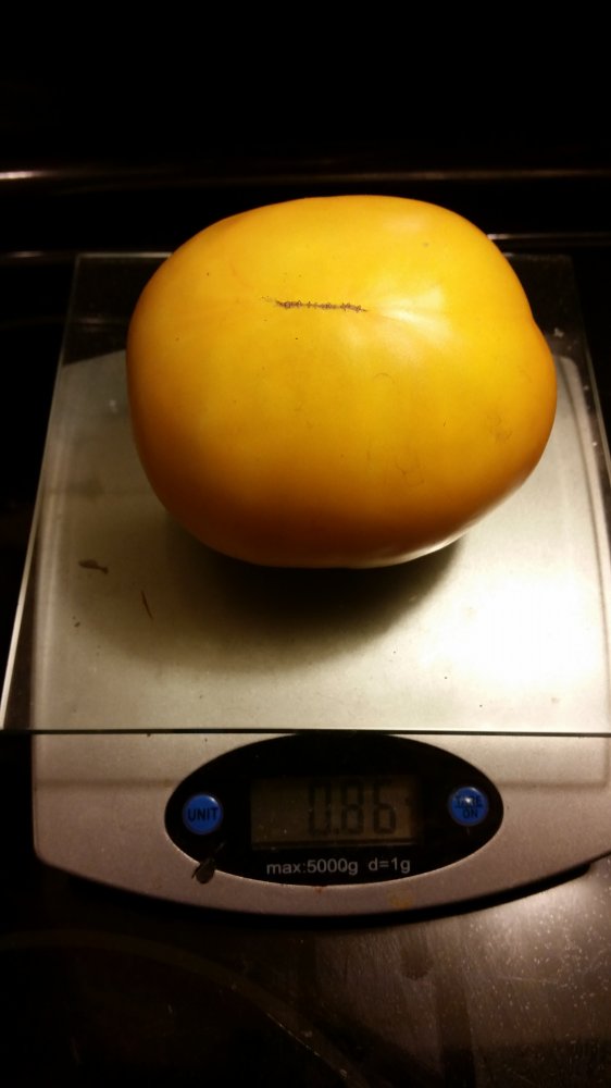 20160825_220120.jpg