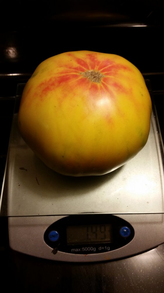 20160825_220137.jpg