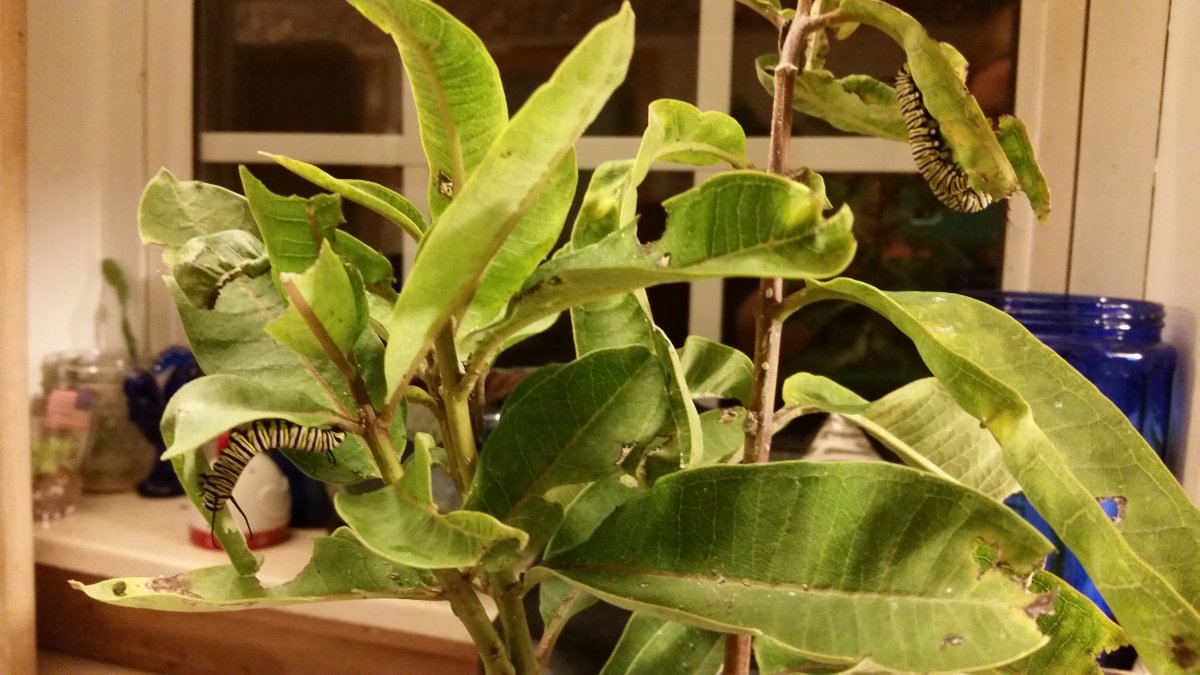 20160910_223048.jpg