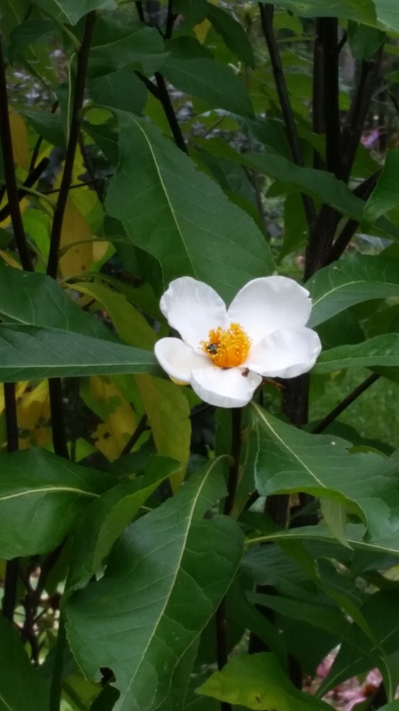 20160918_120506.jpg