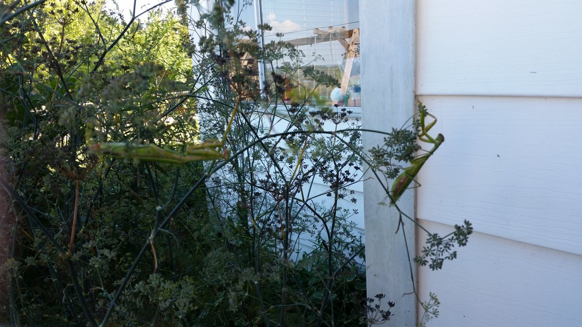 20160919_165337.jpg