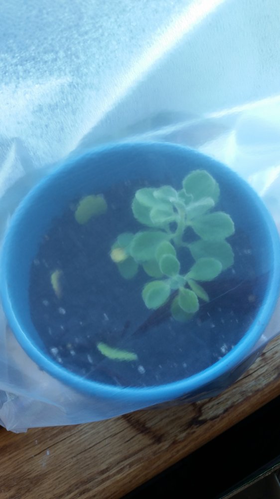 20160922_171409.jpg