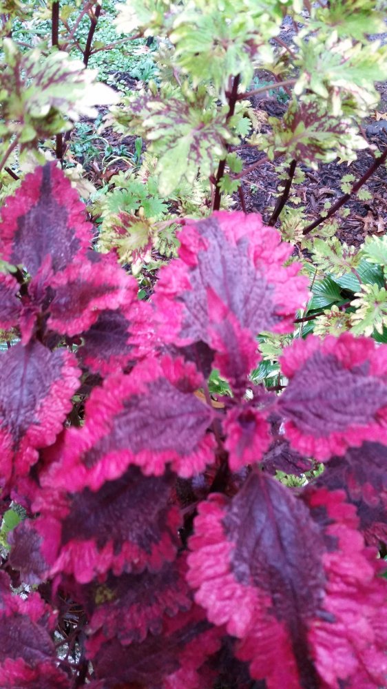 20161001_081335.jpg