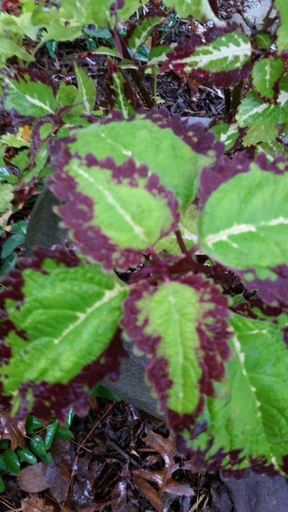 20161001_081408.jpg