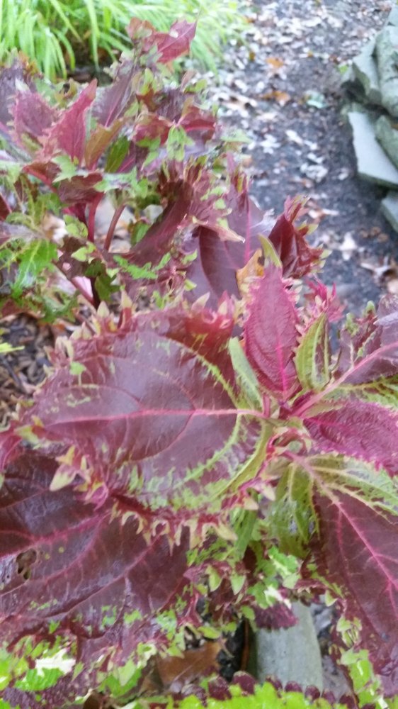 20161001_081414.jpg