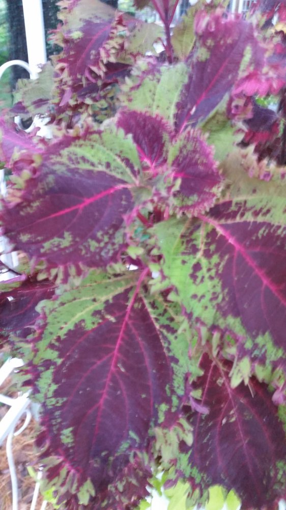 20161001_081552.jpg