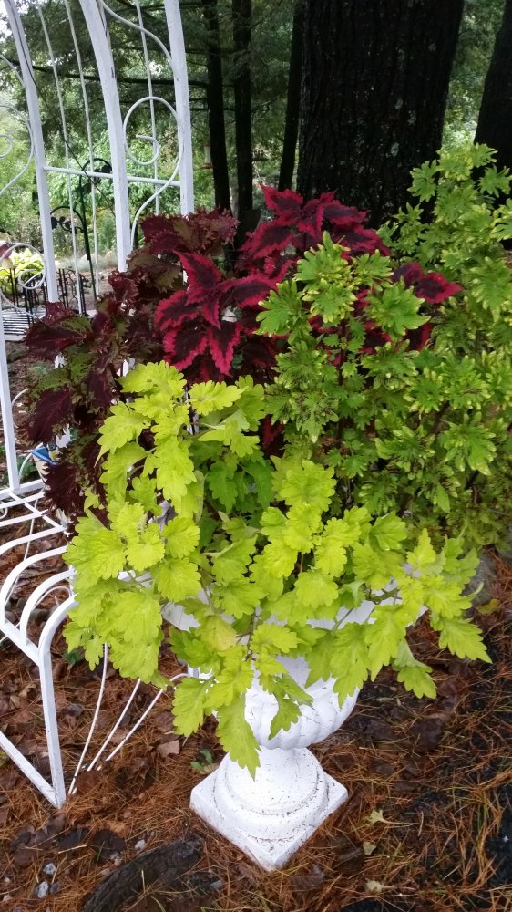 20161001_081610.jpg