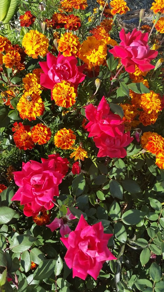 20161018_172026.jpg