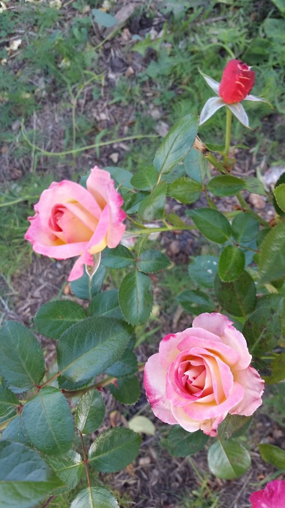 20161018_172159.jpg