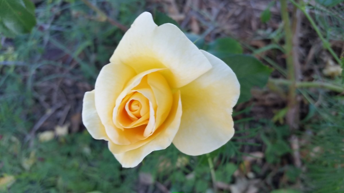 20161018_172245.jpg
