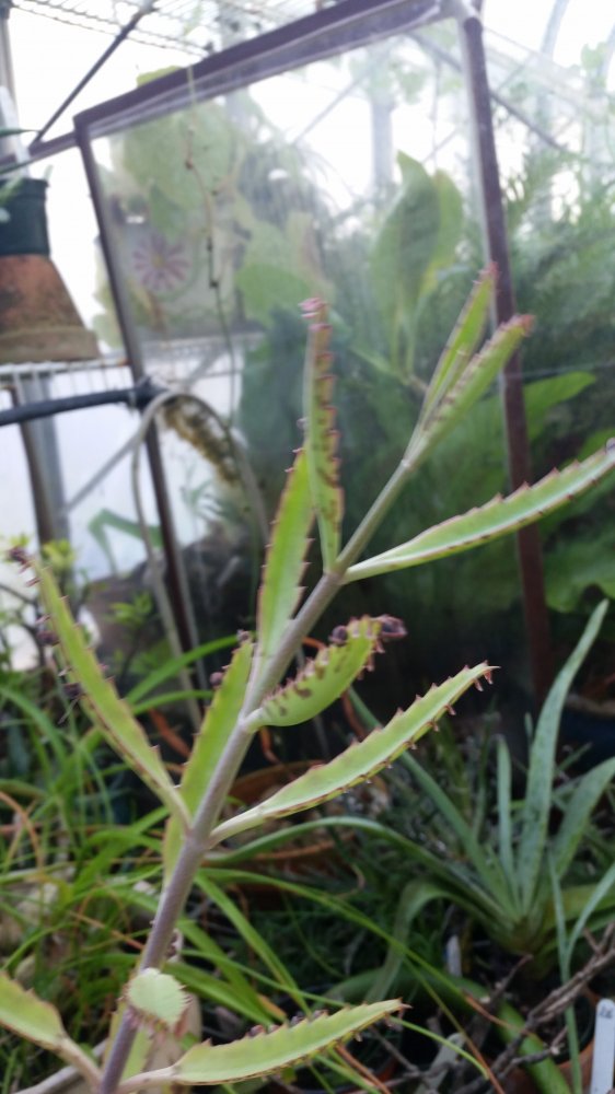 20161105_110634.jpg
