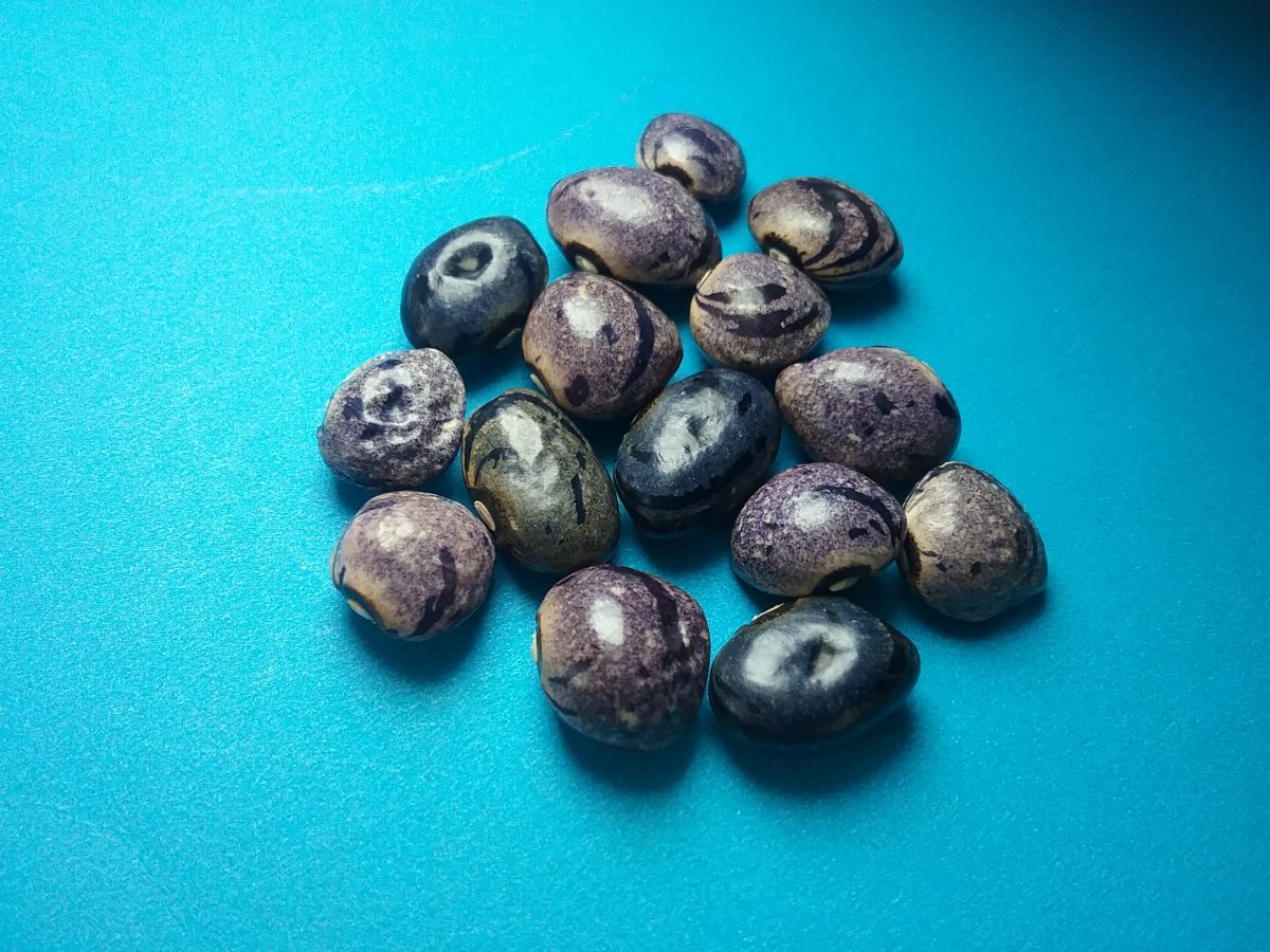 20170214_215147.jpg