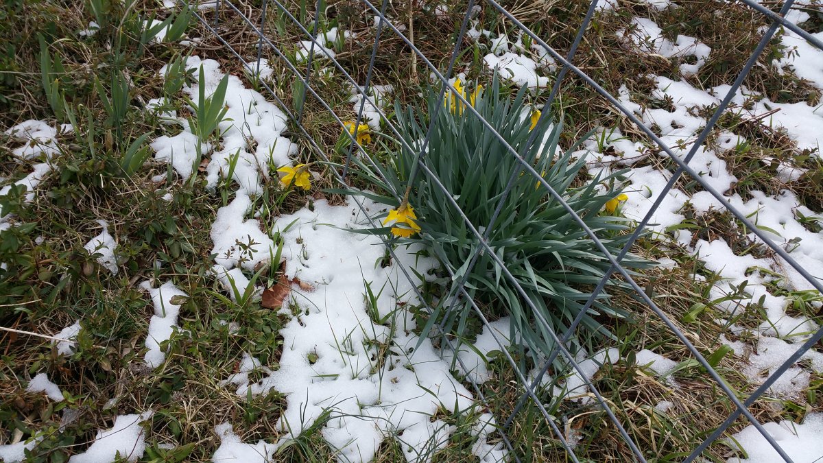 20170315_133040.jpg
