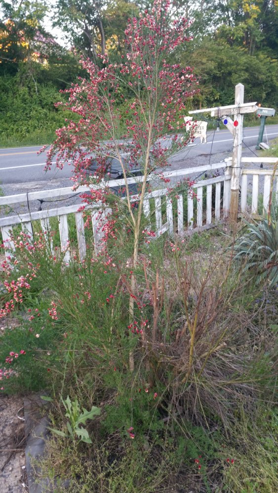20170513_195202.jpg