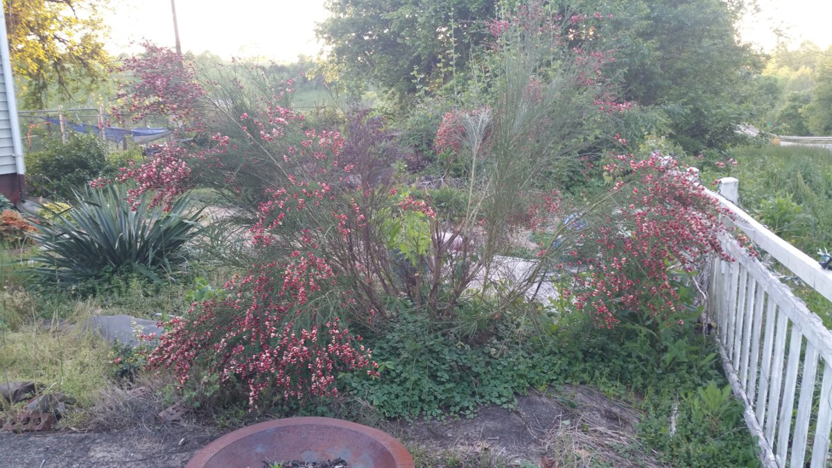 20170513_195213.jpg